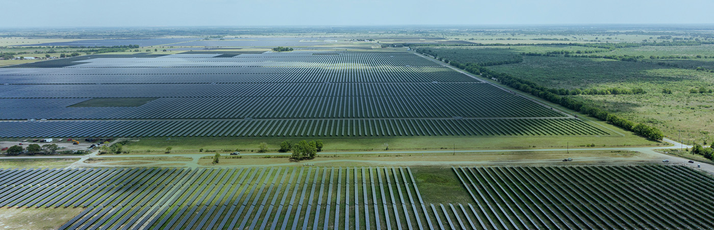 a large field of solar panels